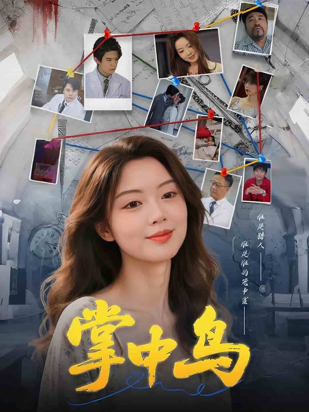 掌中鸟(全集)