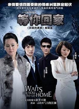 等你回家2013(全集)