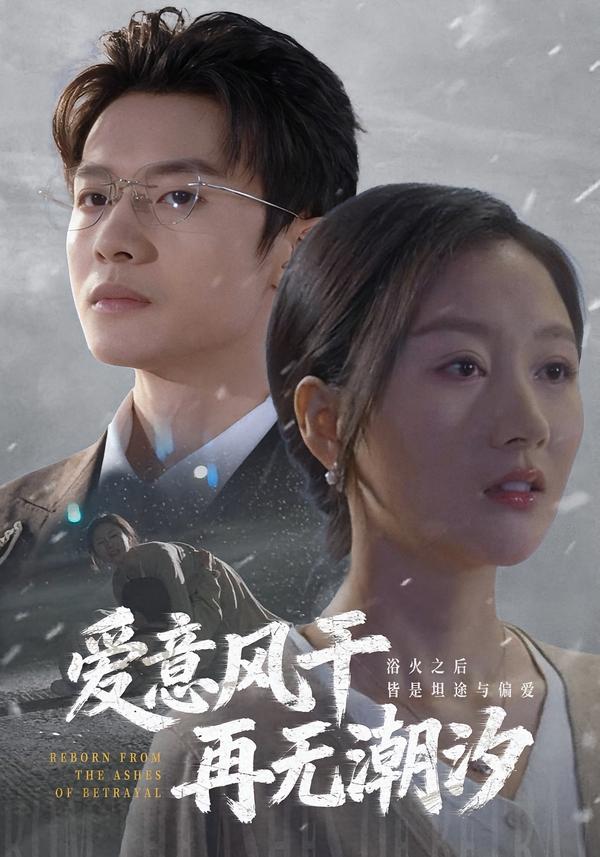 爱意风干再无潮汐(全集)