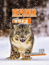 科探秘动物星球：高山上的白色精灵雪豹(全集)