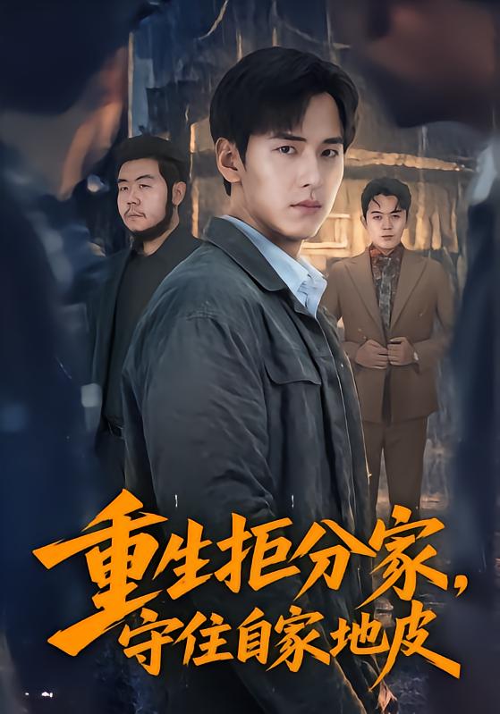 重生拒分家,守住自家地皮(全集)